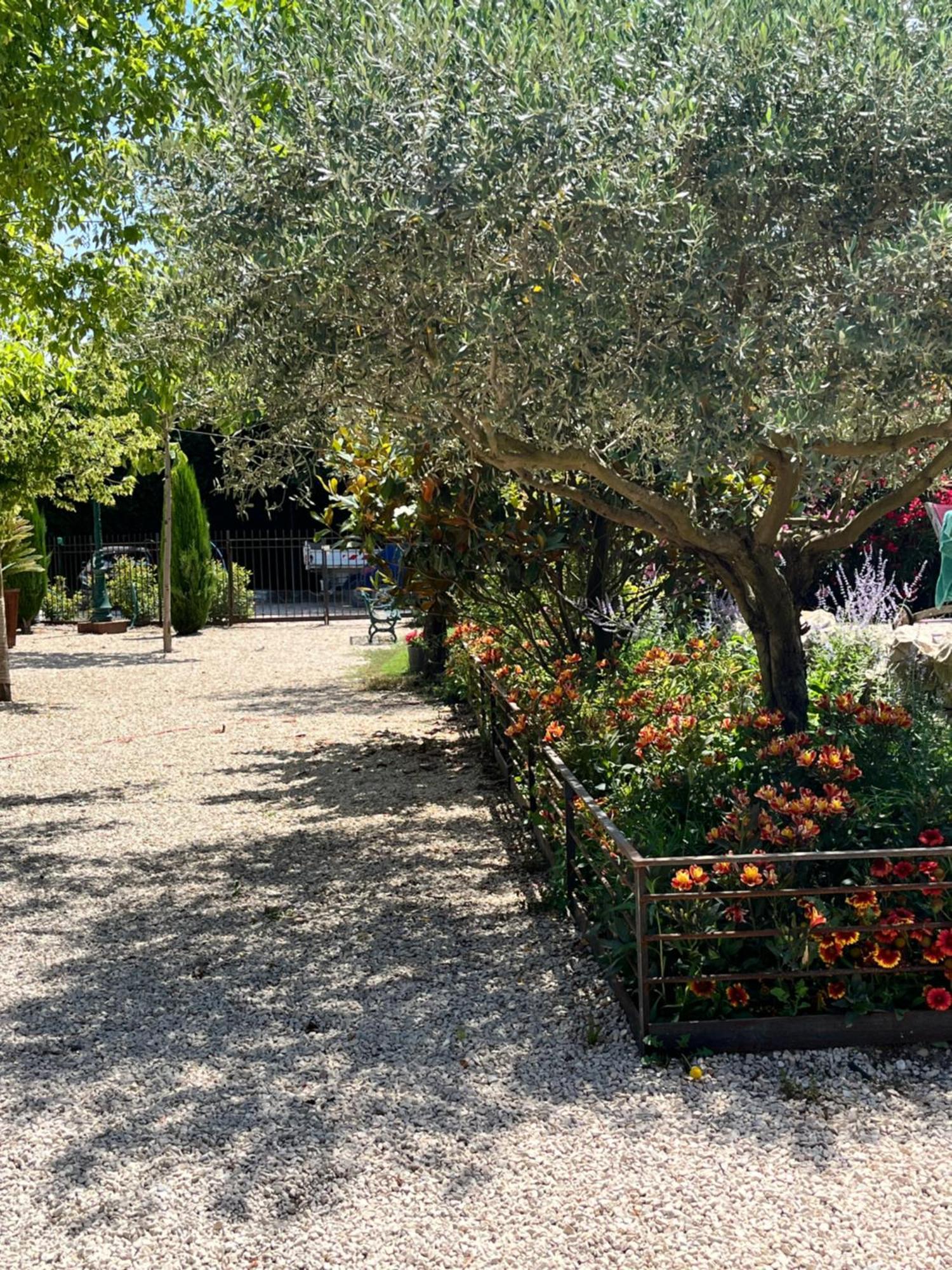 La Provence Avec Piscine Privative En Campagne Διαμέρισμα Pernes-les-Fontaines Εξωτερικό φωτογραφία